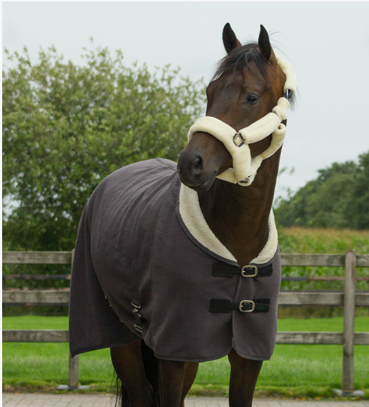 QHP Fleece Headcollar