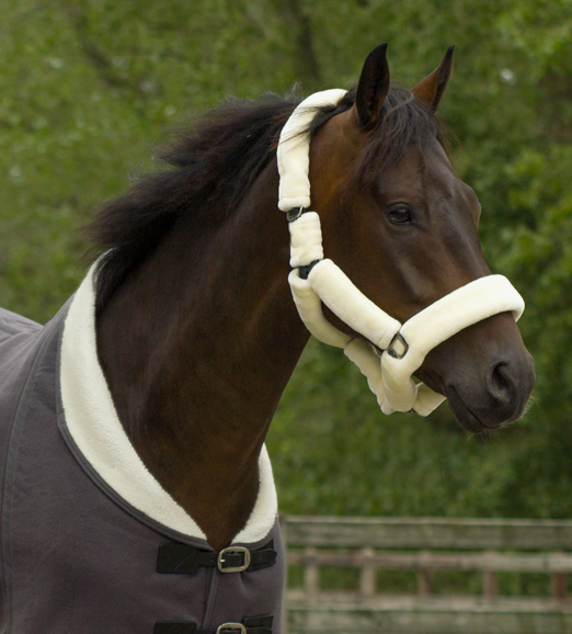 QHP Fleece Headcollar