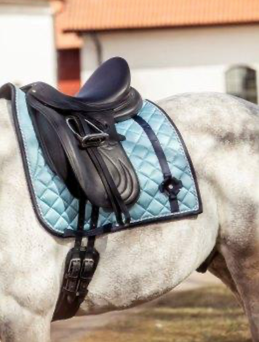 PS  of Sweden Pad BOW Aqua