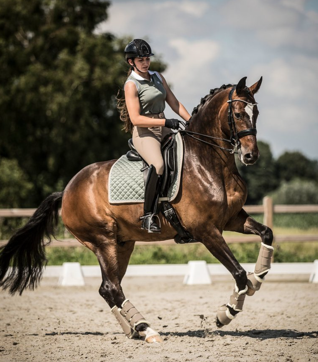 PS of Sweden Thyme Bow Saddle Blanket