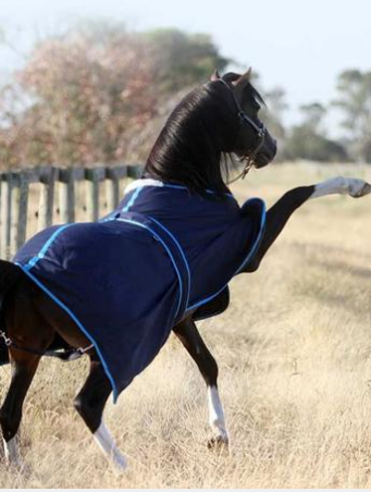 Earlwood Cotton Show Rug and Tail Bag
