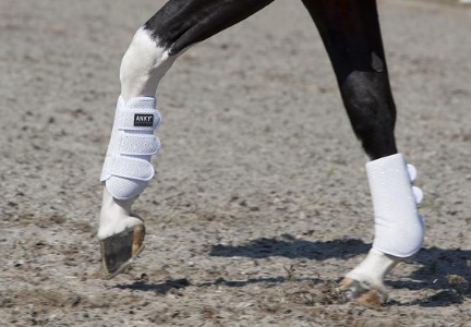 ANKY Climatrole Boots