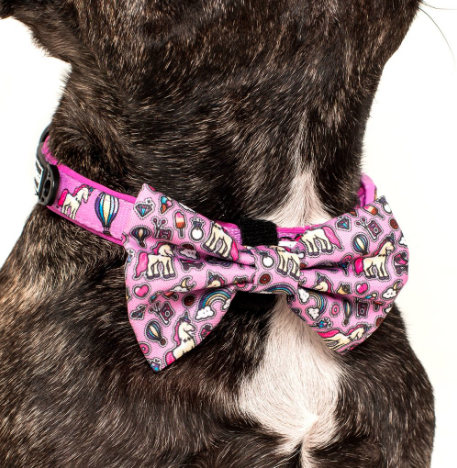 BIG AND LITTLE DOGS DOG COLLAR AND BOW TIE - "ONE OF A KIND"