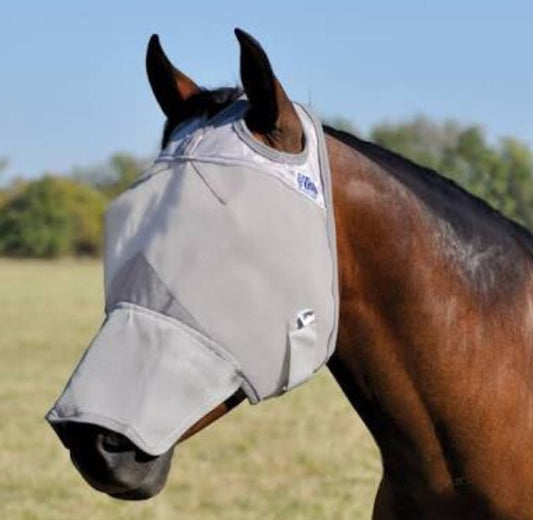 Cashel crusader with nose