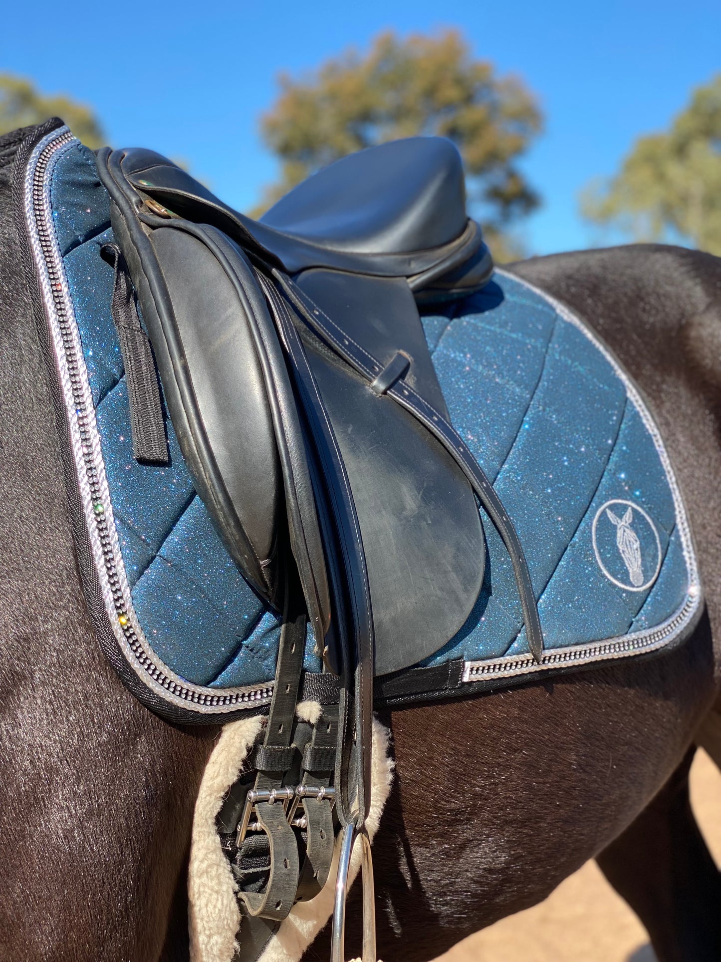 Sapphire Shimmer Pads