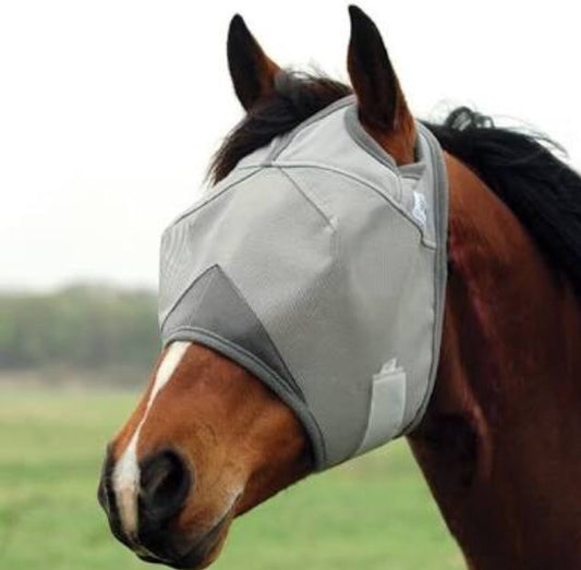 Cashel crusader standard