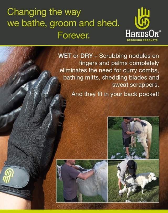 Hands on grooming gloves