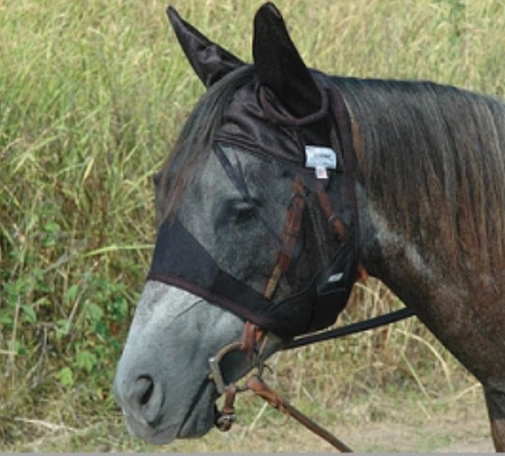 Cashel Quiet ride with EARS