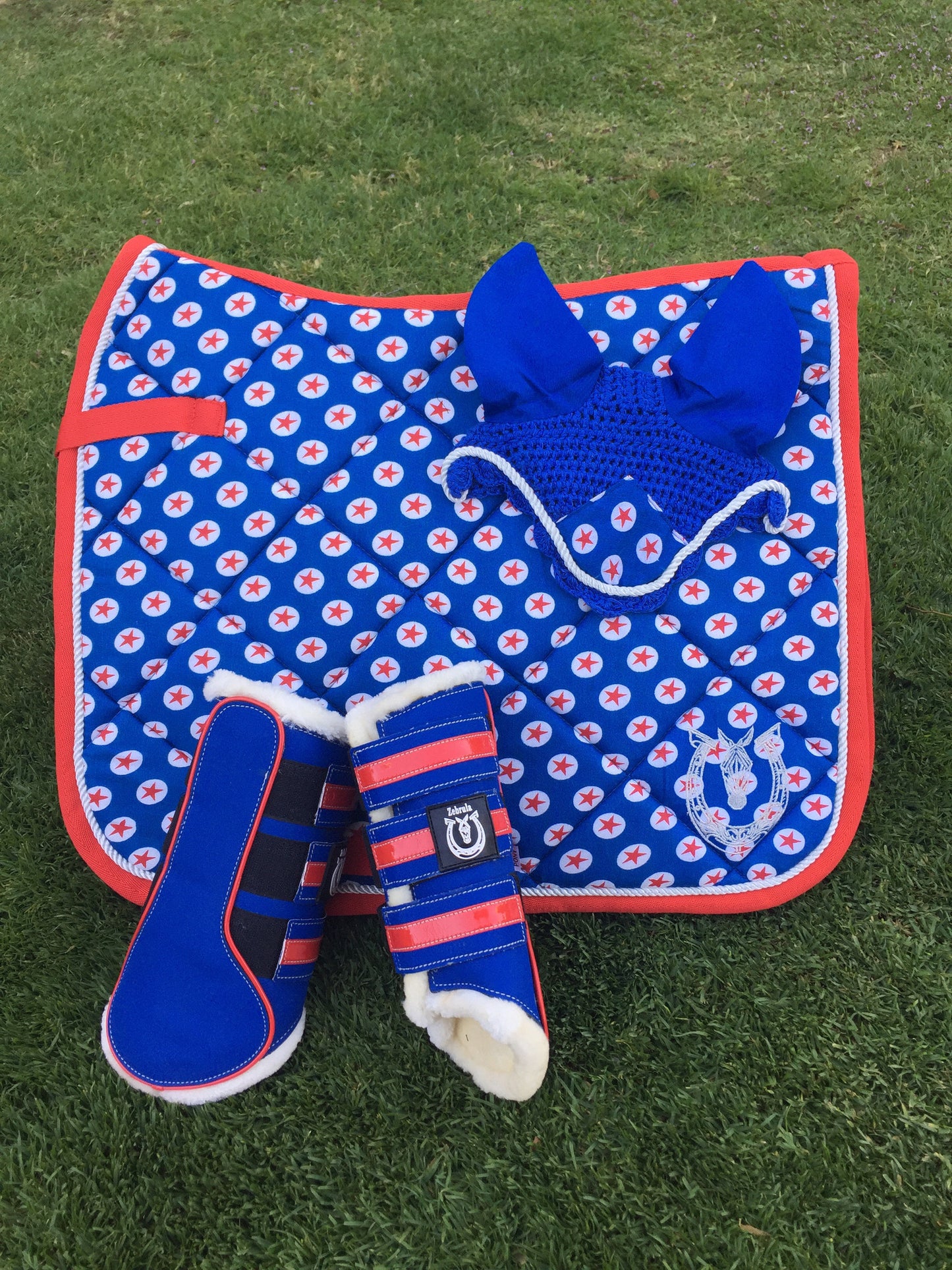 Sparkly royal blue and red boots