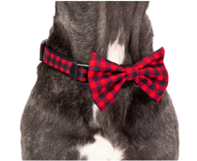 Big And Little Dogs- "Plaid to the bone" dog collar and bow tie