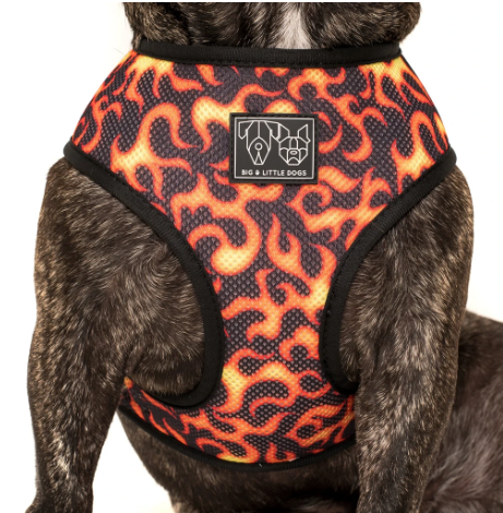 BIG AND LITTLE DOGS REVERSIBLE HARNESS - TRUCK YEAH!