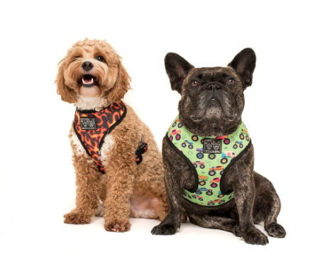 BIG AND LITTLE DOGS REVERSIBLE HARNESS - TRUCK YEAH!