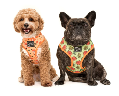 BIG AND LITTLE DOGS REVERSIBLE HARNESS- FEELING FOXY