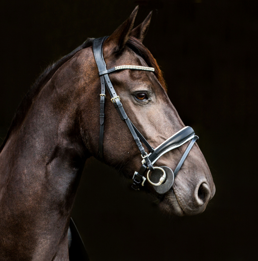 Horze Rohan Bridle