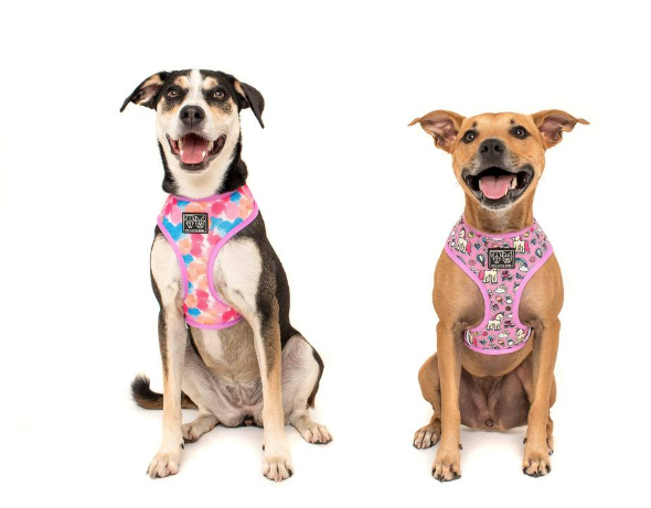 BIG AND LITTLE DOGS REVERSIBLE HARNESS