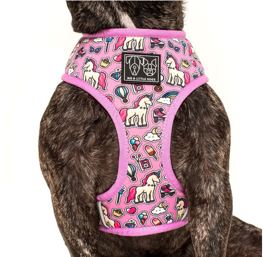 BIG AND LITTLE DOGS REVERSIBLE HARNESS - "ONE OF A KIND"