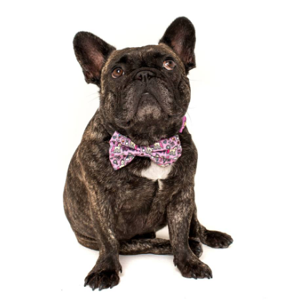 BIG AND LITTLE DOGS DOG COLLAR AND BOW TIE - "ONE OF A KIND"
