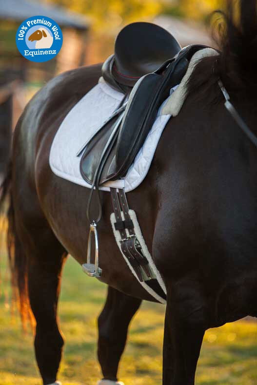 Equinenz New Wool Lined Dressage Girth