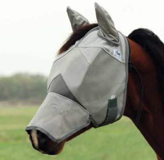 Cashel crusader with nose and ears