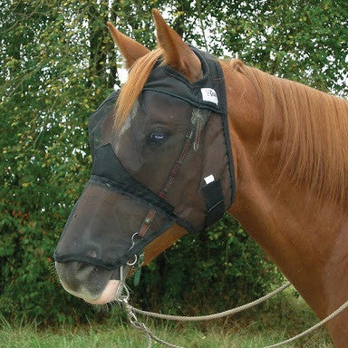 Cashel Quiet ride with nose